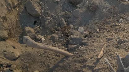 Belediyenin Kazı Çalışması Sırasında İnsan Kemikleri Bulundu