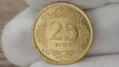 Bir Zamanların Sıradan Parası, Şimdi Servet Değerinde