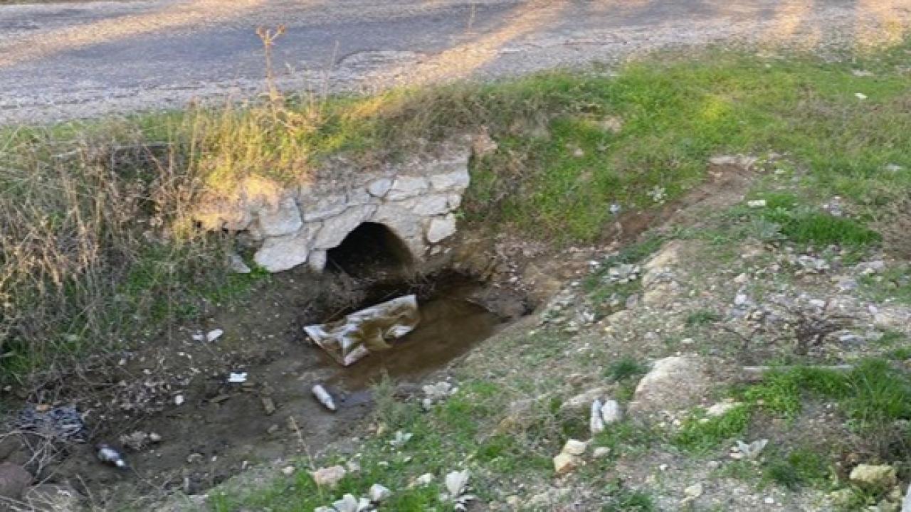 Boş Arazide Yeni Doğmuş Bebek Cesedi Bulundu