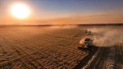 Çiftçilere 331 Milyon 664 Bin Liralık Destek Ödemesi Hesaplara Aktarıldı