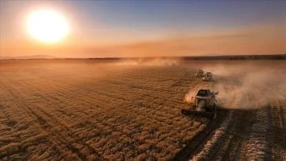 Çiftçilere 331 Milyon 664 Bin Liralık Destek Ödemesi Hesaplara Aktarıldı