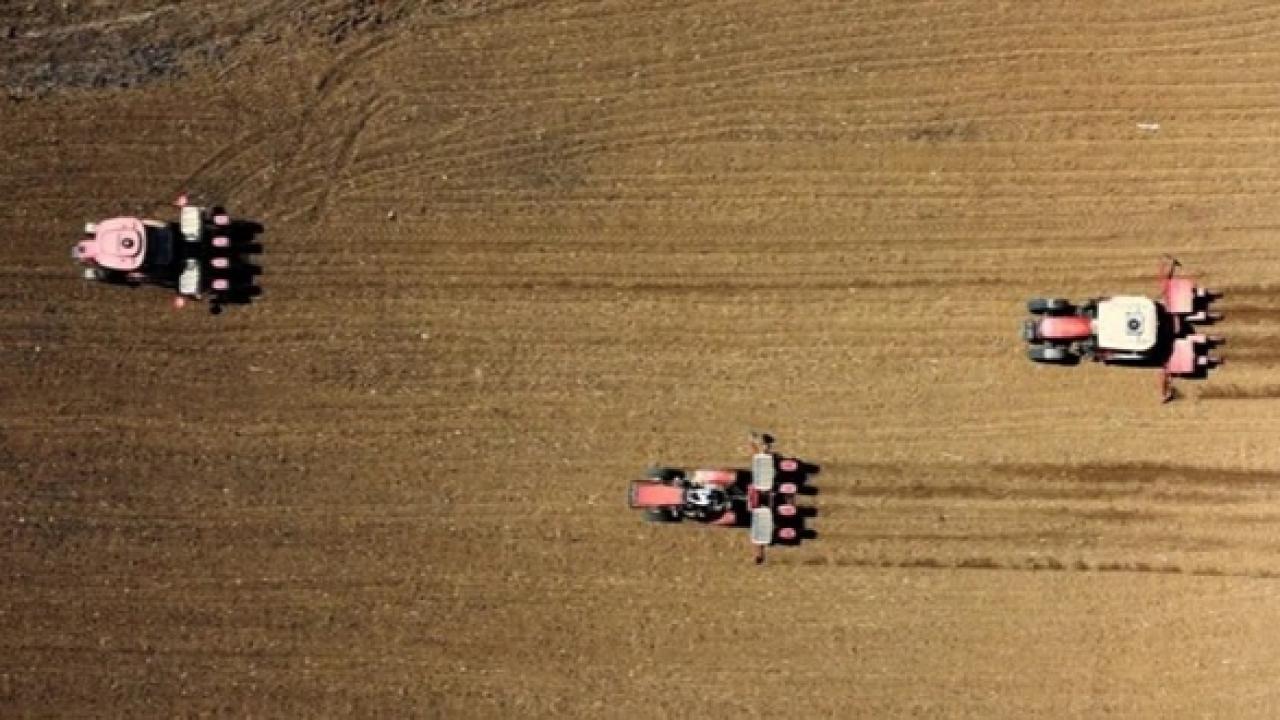 Çiftçinin Ekim Ayı Enflasyonu Açıklandı: Tarım-ÜFE Yıllık %45,40 Arttı