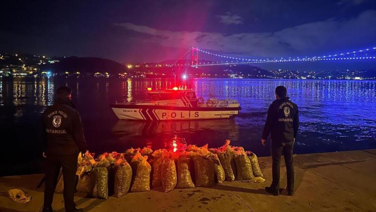 İstanbul&#039;da Kaçak Midye Avcılığına Büyük Darbe: Yaklaşık 2,5 Ton Canlı Midye Ele Geçirildi