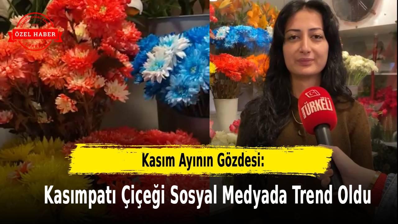 Kasım Ayının Gözdesi: Kasımpatı Çiçeği Sosyal Medyada Trend Oldu