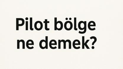 Pilot bölge ne demek?