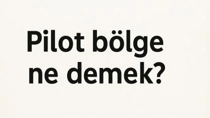 Pilot bölge ne demek?