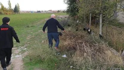 Eskişehir Gazipaşa Mahallesi’nde Köpek Terörü! Mahallede Korku Dolu Günler Yaşanıyor!