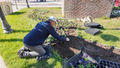 Sandıklı’da Kışlık Peyzaj Çalışmaları Başladı