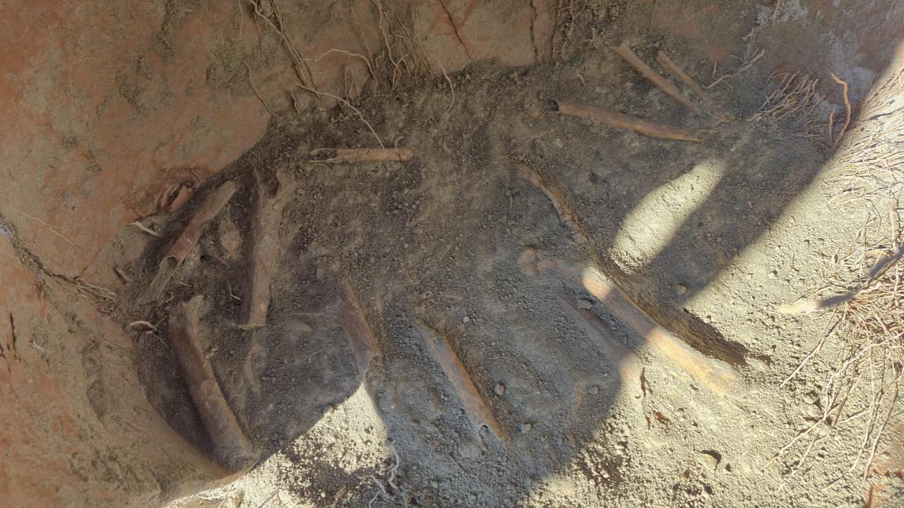 Su borusu için açılan çukurdaki küplerde insan kemiği parçaları bulundu!