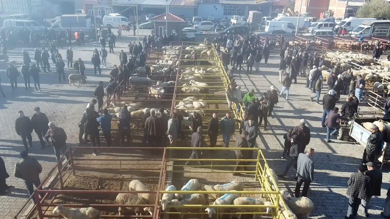 Şuhut Hayvan Pazarı Yeniden Açıldı!