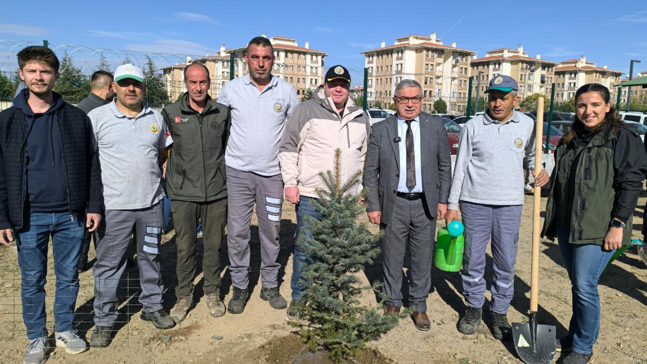 Şuhut’ta Geleceğe Nefes Olmak İçin Fidanlar Toprakla Buluştu