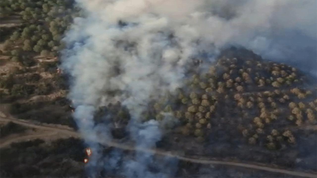 Tarım Arazisi Yangını Ormana Sıçradı: Söndürme Çalışmaları Sürüyor