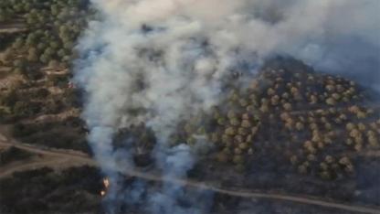 Tarım Arazisi Yangını Ormana Sıçradı: Söndürme Çalışmaları Sürüyor