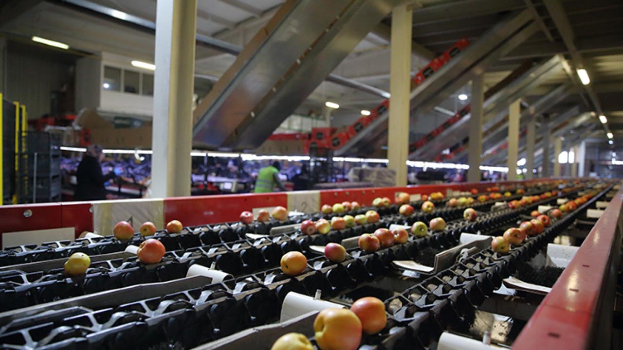 Türkiye&#039;nin Gıda Devi İflasın Eşiğinde! 25 Ülkeye İhracat Yapıyordu