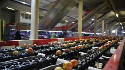 Türkiye'nin Gıda Devi İflasın Eşiğinde! 25 Ülkeye İhracat Yapıyordu