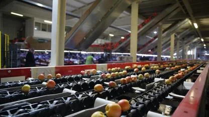 Türkiye'nin Gıda Devi İflasın Eşiğinde! 25 Ülkeye İhracat Yapıyordu