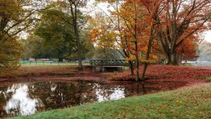 2025 Sonbaharı Kaydedilen En Sıcak Üçüncü Sonbahar Oldu!