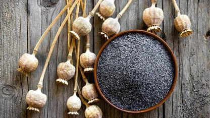 2026 Yılı Haşhaş Alım Fiyatları Açıklandı