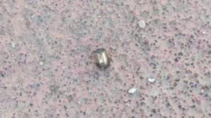 Afyon’da Kaldırımda Yorgun Mermi Alarmı!