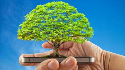 Dijital Abonelik İşlemleri Sayesinde 11 Ayda 295 Ağaç Kurtarıldı