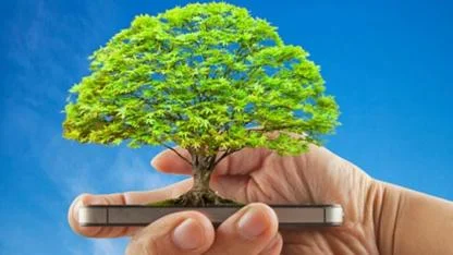 Dijital Abonelik İşlemleri Sayesinde 11 Ayda 295 Ağaç Kurtarıldı