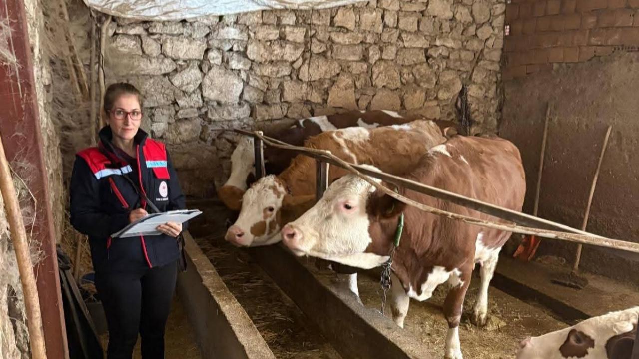 Hibe Alan Hayvancılık İşletmeleri Yakın Takipte