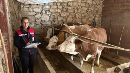 Hibe Alan Hayvancılık İşletmeleri Yakın Takipte