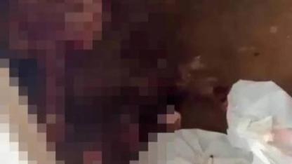 Kaçak Mezbahada At ve Eşek Eti Satışı Ortaya Çıktı