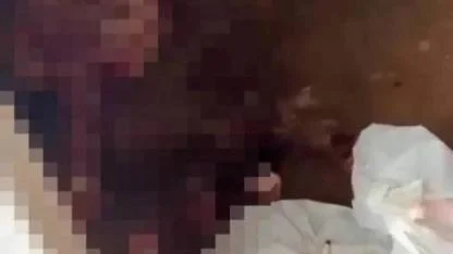 Kaçak Mezbahada At ve Eşek Eti Satışı Ortaya Çıktı