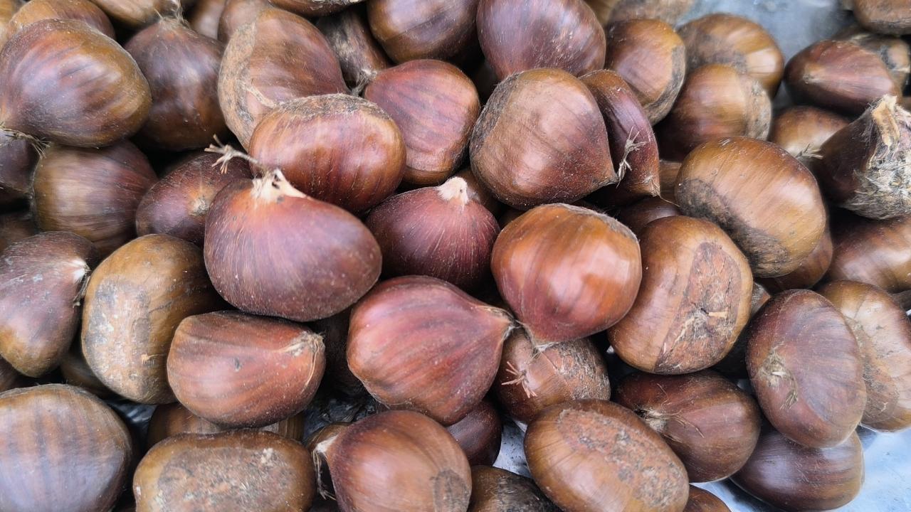 Kışın Bereketi Tezgâhlara Yansıdı: Kestane Satışı Artışta