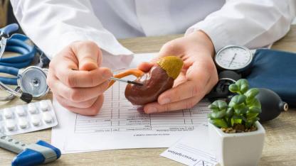 Kronik Böbrek Hastalığı 850 Milyon Kişiyi Etkiliyor – Erken Teşhis Hayati Önem Taşıyor