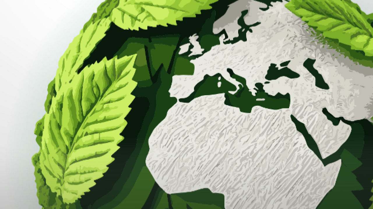 OEDAŞ GRI Onaylı 5. Sürdürülebilirlik Raporunu Yayımladı