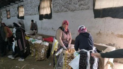 Patates Hasadı Bitti, Depolar Doldu: Fiyatlar Üreticiyi Sevindirdi