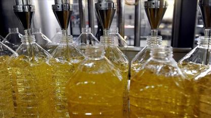 Ayçiçek Yağında Dünya Lideriyiz: İhracat 1 Milyar Dolara Koşuyor