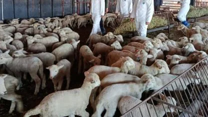 Afyonkarahisar İl Tarım ve Orman Müdürlüğü’nden Koyun ve Keçi Yetiştiricileri Birliği'ne Ziyaret