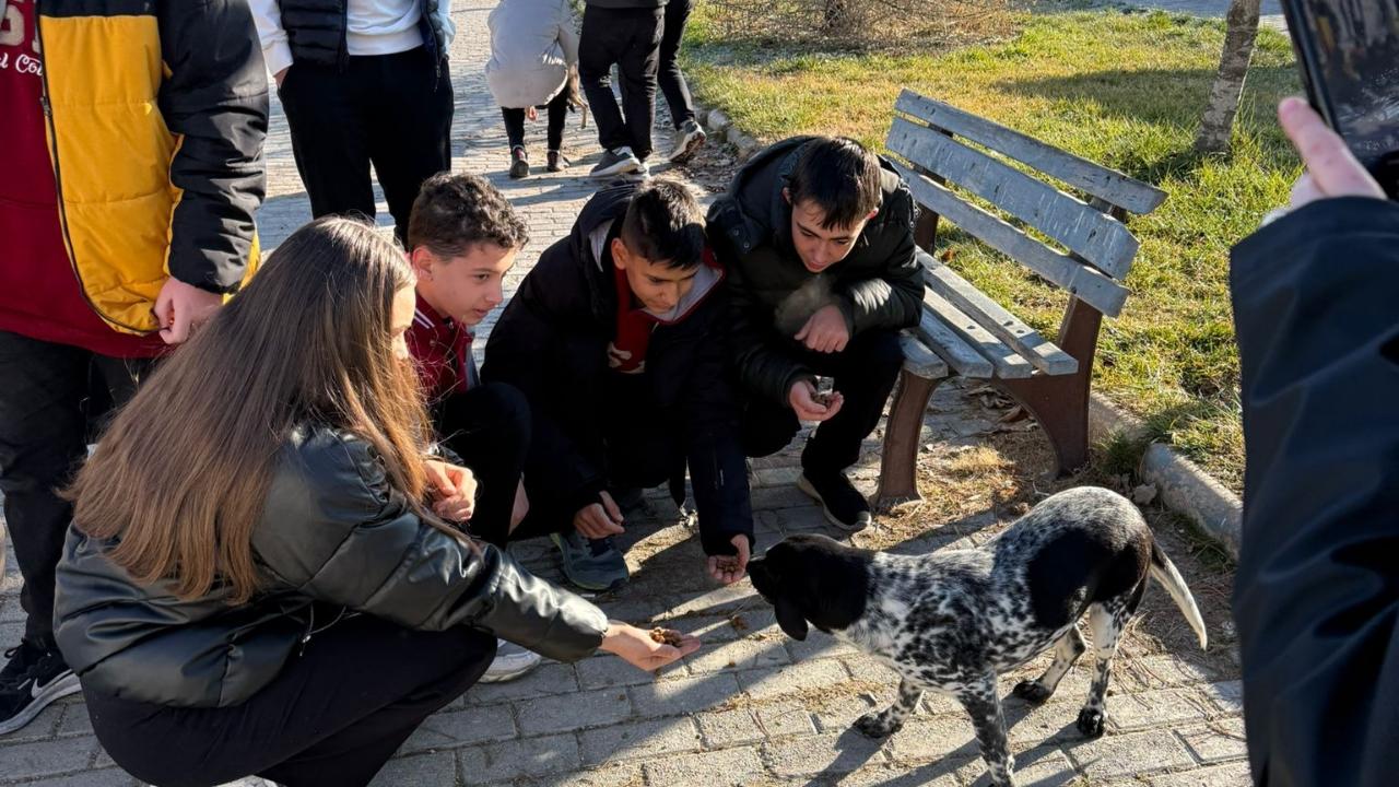 Rahmiye Sare Palalı Teknik Koleji Öğrencilerinden Hayvan Barınağı Ziyareti
