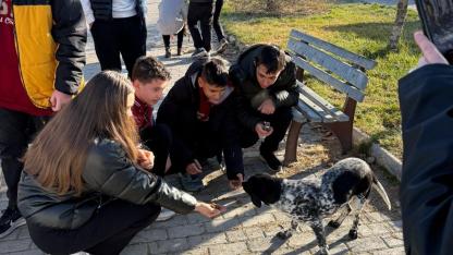 Rahmiye Sare Palalı Teknik Koleji Öğrencilerinden Hayvan Barınağı Ziyareti