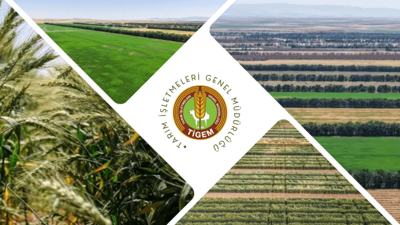 TİGEM 254 Personel Alımı Başvuru Tarihleri ve Şartları Neler?