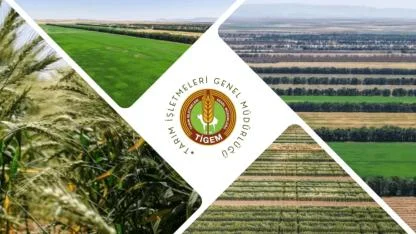 TİGEM 254 Personel Alımı Başvuru Tarihleri ve Şartları Neler?