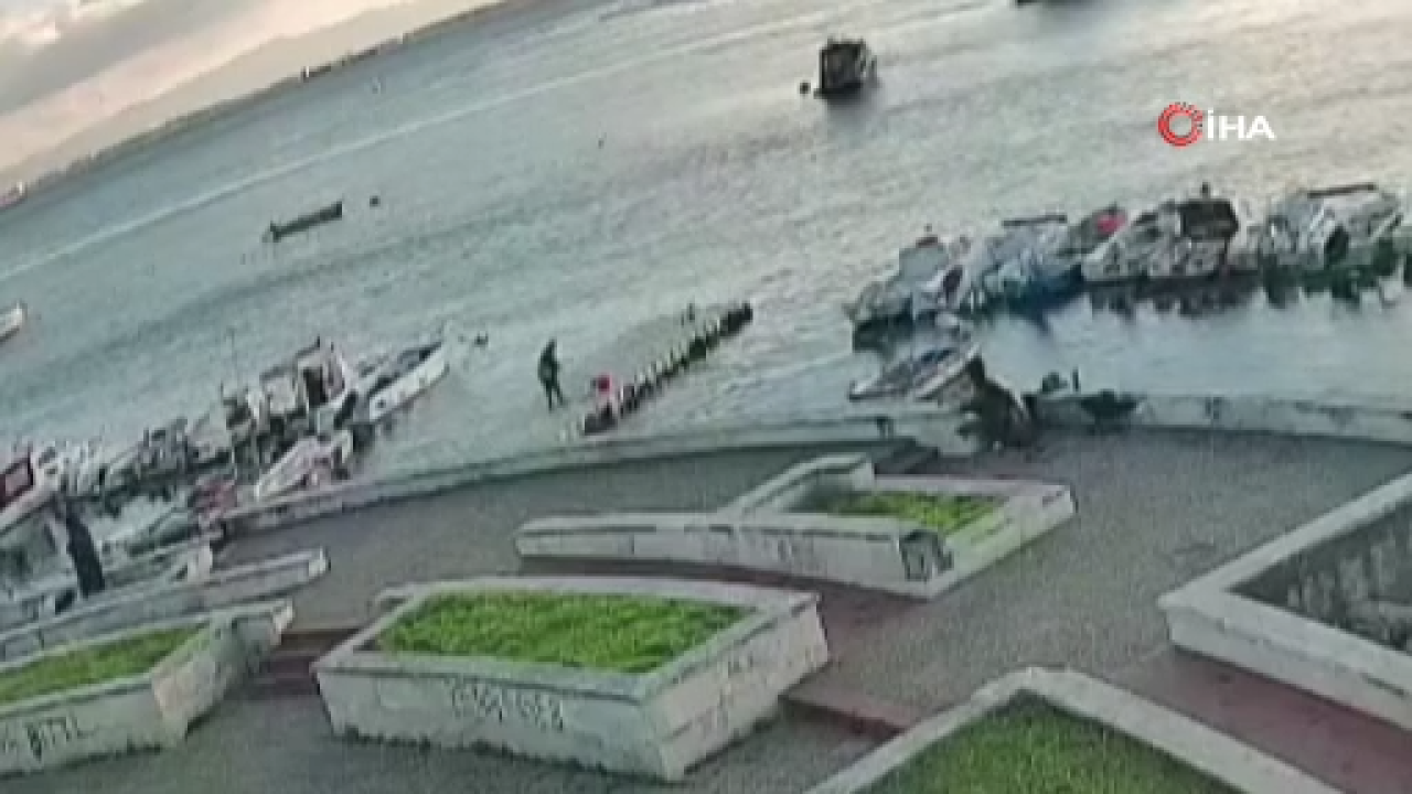 Vicdanları Sızlatan Olay: Kediye Tekme Atıp Denize Fırlattı