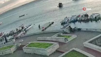 Vicdanları Sızlatan Olay: Kediye Tekme Atıp Denize Fırlattı