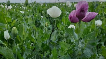 36,4 Milyar Dolarlık İhracat ile rekor seviye