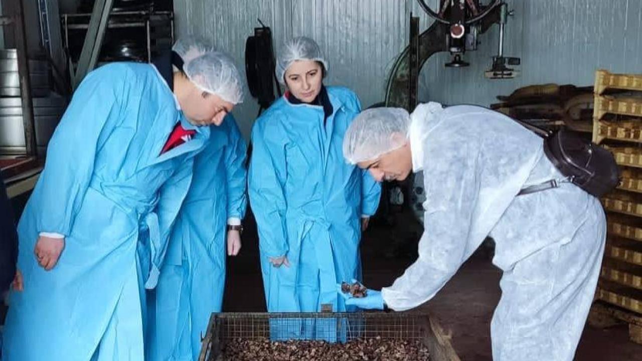 Afyon’da Köpek Çiğneme Ürünü Üretim Tesisine Resmi Denetim