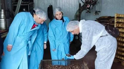 Afyon’da Köpek Çiğneme Ürünü Üretim Tesisine Resmi Denetim