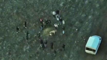 Afyon’da Köpek Dövüşü Yapanlara Suçüstü Baskın