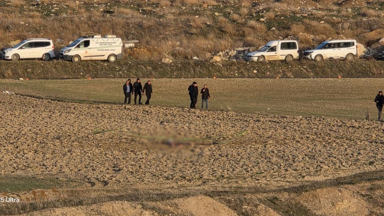 Afyon’da Köpek Saldırısı Sonucu Parçalanmış Ceset Bulundu