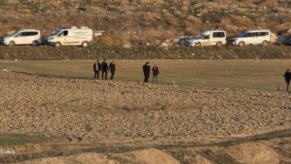 Afyon’da Köpek Saldırısı Sonucu Parçalanmış Ceset Bulundu