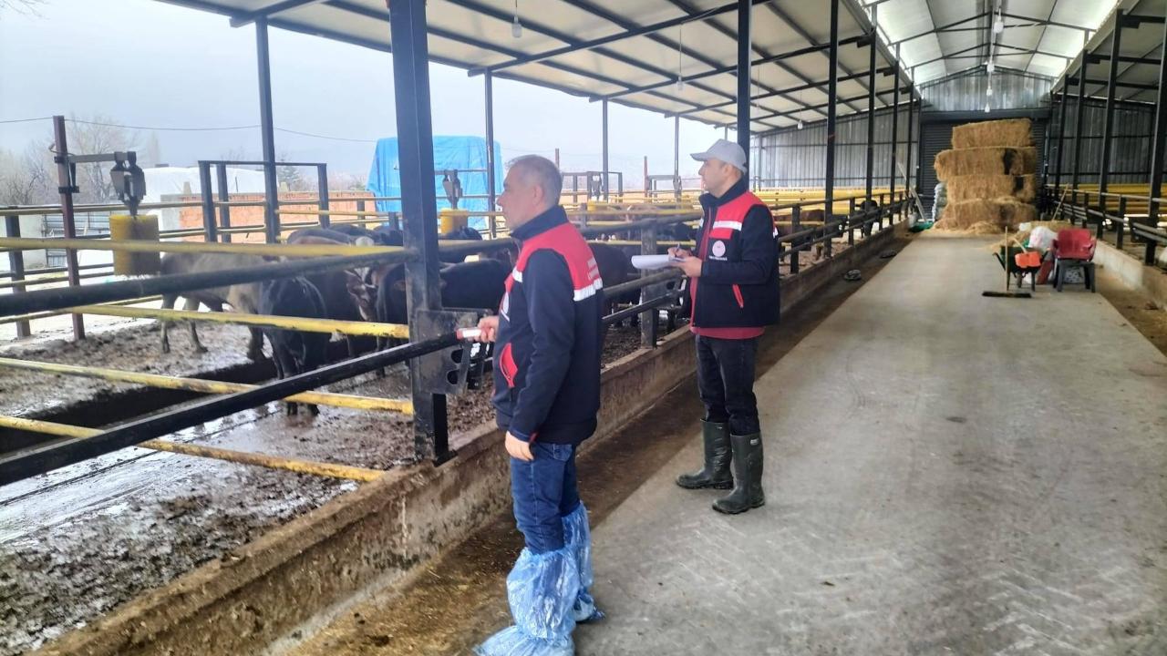 Afyonkarahisar’da Hayvancılık İşletmelerinde Kapasite Ölçümleri Sürüyor