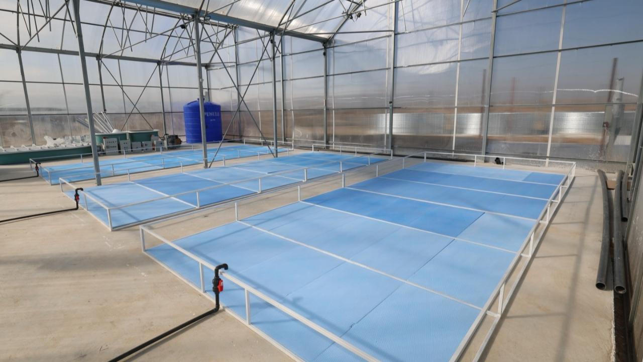 Afyonkarahisar’da Jeotermal Destekli Su Ürünleri Üretimi Başlıyor