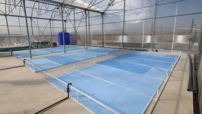 Afyonkarahisar’da Jeotermal Destekli Su Ürünleri Üretimi Başlıyor